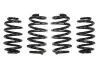 Комплект ходовой части, пружины EIBACH E10-15-003-08-22 (фото 1)