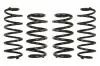Комплект ходовой части, пружины EIBACH E10-15-018-01-22 (фото 1)