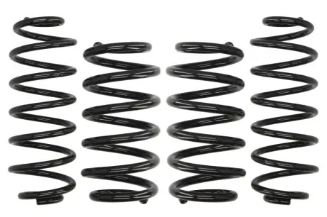 Комплект ходовой части, пружины EIBACH E10-15-018-02-22