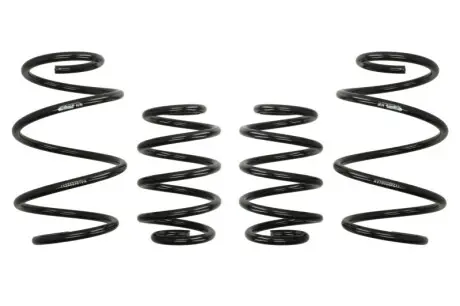 Комплект ходової частини, пружини EIBACH E10-25-033-01-22