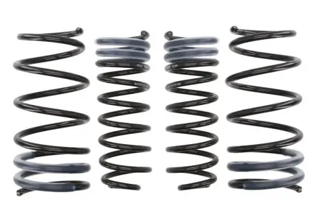 Комплект ходовой части, пружины EIBACH E10-26-001-01-22