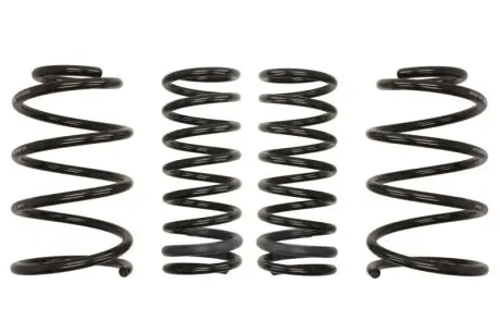 Комплект ходовой части, пружины EIBACH E10-35-016-05-22