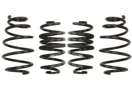 Комплект ходовой части, пружины EIBACH E10-65-019-17-22