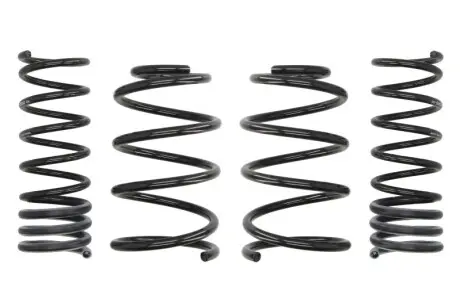 Комплект ходовой части, пружины EIBACH E10-84-011-01-22