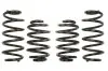 Комплект ходовой части, пружины EIBACH E10-85-002-08-22 (фото 1)