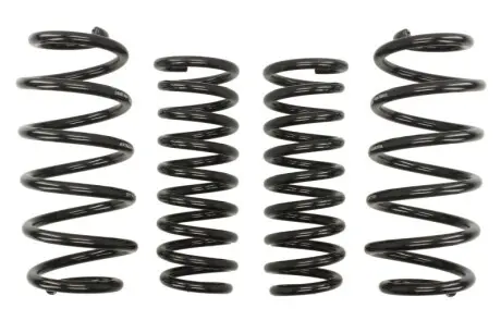 Комплект ходовой части, пружины EIBACH E1539-140