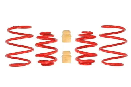 Комплект ходової частини, пружини EIBACH E20-20-001-02-22