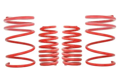 Комплект ходовой части, пружины EIBACH E20-40-001-01-22