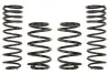 Комплект ходовой части, пружины EIBACH E6537-140 (фото 1)