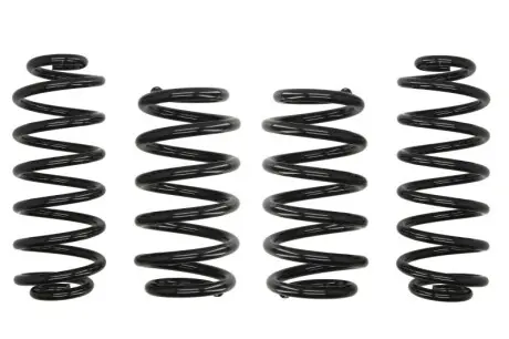 Фото комплект ходовой части, пружины EIBACH E10-15-013-01-22 Комплект ходовой части, пружины EIBACH E10-15-013-01-22