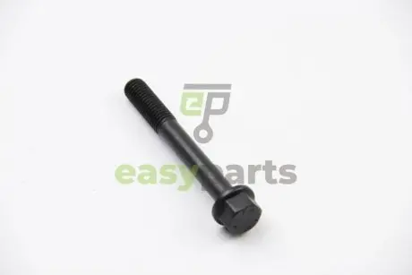 Комплект болтов головки цилидра FORD 844F6065AA