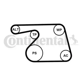 Поликлиновой ременный комплект Contitech 6PK1318K2