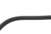 Комплект ременя генератора Citroen Jumpy/Fiat Scudo/Peugeot Expert 2.0HDi 04- (6PK1215) DAYCO KPV179 (фото 6)