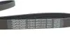 Комплект ременя генератора Citroen Jumpy/Fiat Scudo/Peugeot Expert 2.0HDi 04- (6PK1215) DAYCO KPV179 (фото 7)