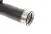 Патрубок інтеркулера (задній) (L) VW Golf V/Seat Leon 1.9TDI 03- Gates 09-0216 (фото 5)