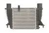 Ч?воздухозаборник впускного воздуха THERMOTEC DA1003TT (фото 2)