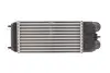 Ч?воздухозаборник впускного воздуха THERMOTEC DAC003TT (фото 2)
