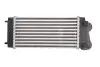 Ч?воздухозаборник впускного воздуха THERMOTEC DAC004TT (фото 2)