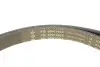 Комплект ременя генератора Opel Astra/Vectra 89-02 (6PK1903) INA 529 0091 10 (фото 3)