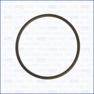 Кольцо резиновое AJUSA 16057900 (фото 1)