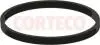 Прокладка, впускной коллектор CORTECO 027059H (фото 1)