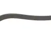 Ремінь генератора VW Polo/Up 11-/Skoda Fabia 14-/Seat Ibiza 1.0/1.6 15- (6PK989) DAYCO 6PK989EE (фото 4)
