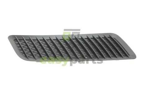 Решітка капоту MB Sprinter 906 06- (R) MERCEDES-BENZ 90683607189051