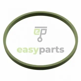 Прокладка дросельної заслонки Seat Arosa/Cordoba, Ibiza, Leon 99.08- /Skoda Fabia 1.4 16V 99.12- FEBI BILSTEIN 107960