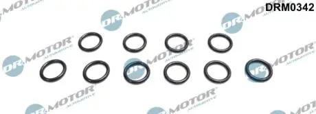 К-т ущiльнюючих кiлець, 10 шт DR MOTOR DRM0342