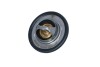 ТЕРМОСТАТ RENAULT CLIO 08- NRF 725089 (фото 1)