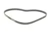 Ремінь генератора Ford Focus/Fiesta/Fusion 1.25-1.6 99-12/Mazda 2 1.25-1.6 03-07 INA FB6EPK1042 (фото 2)