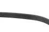 Ремінь генератора Citroen Jumper 2.8HDI 00-/Honda Accord 1.9-2.0 93-98/ Toyota Carina 2.0 96-97 INA FB5PK1100 (фото 3)