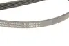 Ремінь генератора BMW 5 (E39)/7 (E38) 2.5TDS 96-04/Kia Cerato/Rio/Hyundai Accent 1.5/1.6CRDI 05- (5PK1850) INA FB5PK1850 (фото 4)
