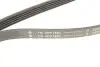 Ремінь генератора BMW 5 (E39)/7 (E38) 2.5TDS 96-04/Kia Cerato/Rio/Hyundai Accent 1.5/1.6CRDI 05- (5PK1850) INA FB5PK1850 (фото 5)