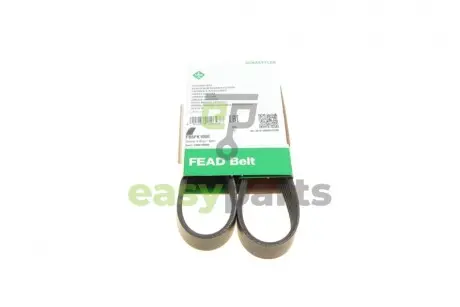 Ремінь генератора MB OM601/602 (-PS) INA FB6PK1000