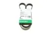 Ремінь генератора Citroen Jumpy/Peugeot 3008/5008/Expert 2.0BlueHDi 16- (6PK1230) FB6PK1230