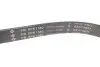 Ремінь генератора Opel Zafira/Astra H 1.9 CDTI 04-15/Chevrolet Aveo 1.4 11- INA FB6PK1380 (фото 2)