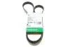 Ремень генератора Peugeot 206/Partner/Citroen Berlingo 1.1-1.6 02-/VW Fox/Polo 1.2 02-14 (6PK1453) FB6PK1453