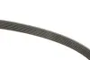 Ремень генератора Peugeot 206/Partner/Citroen Berlingo 1.1-1.6 02-/VW Fox/Polo 1.2 02-14 (6PK1453) INA FB6PK1453 (фото 3)