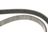 Ремень генератора Peugeot 206/Partner/Citroen Berlingo 1.1-1.6 02-/VW Fox/Polo 1.2 02-14 (6PK1453) INA FB6PK1453 (фото 4)