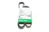 Ремінь генератора Ford Focus 1.8 TDCi 05-12/Skoda Octavia 1.4 i 99-01 (6PK1520) INA FB6PK1520 (фото 1)