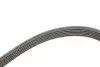 Ремінь генератора Ford Focus 1.8 TDCi 05-12/Skoda Octavia 1.4 i 99-01 (6PK1520) INA FB6PK1520 (фото 3)