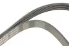 Ремінь генератора Ford Focus 1.8 TDCi 05-12/Skoda Octavia 1.4 i 99-01 (6PK1520) INA FB6PK1520 (фото 4)