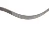 Ремінь генератора Fiat Doblo1.3-1.6 D 10-/Opel Astra F/Corsa B/Vectra B 1.4-1.8/ 94-03 (6PK1530) INA FB6PK1530 (фото 2)