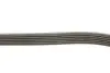 Ремінь генератора поліклиновий VW Golf/BMW/Ford/Opel (6PK1540) INA FB6PK1540 (фото 3)