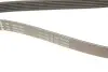 Ремінь генератора поліклиновий VW Golf/BMW/Ford/Opel (6PK1540) INA FB6PK1540 (фото 4)