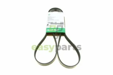 Ремінь генератора Ford Escort 1.4-1.8 92-00/Renault Laguna 1.8 93-01/VW Golf II/Passat B3/B4 88-97 INA FB6PK1653