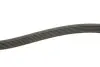 Ремінь генератора Citroen Berlingo 1.6HDI 06-/Fiat Ducato/Doblo 2.0D 10-/Scudo 1.6D 07- (6PK1705) INA FB6PK1705 (фото 3)