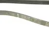 Ремінь генератора MB W202/203/VW/Audi 2.4/2.8i INA FB6PK1760 (фото 5)