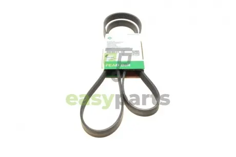 Ремінь генератора Opel Combo/Astra/Vectra/Omega 1.2-2.2 91-03/BMW 1 (E81/E87) 2.0D 04-11 INA FB6PK1800